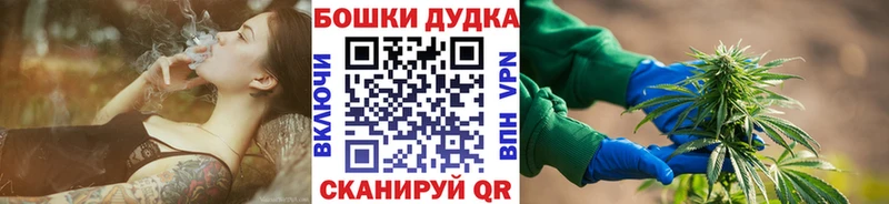 Купить где  Сенгилей  Марихуана конопля 
